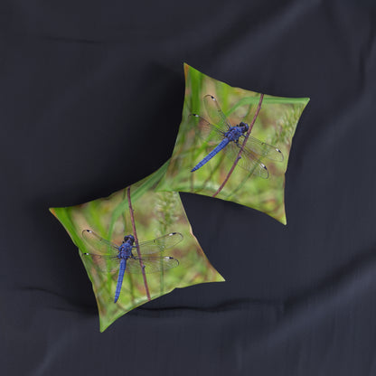 Dragonfly 2