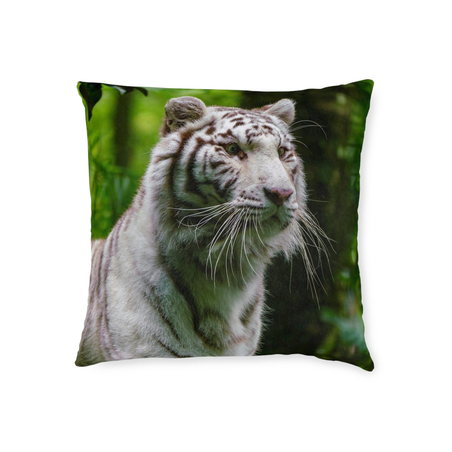 White Tiger