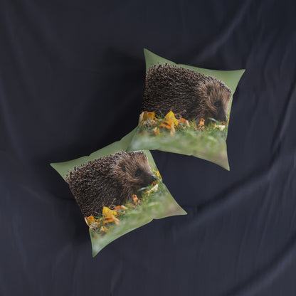Hedgehog 2