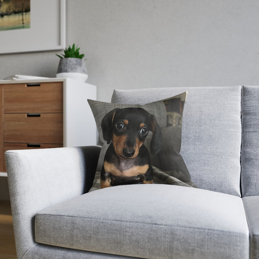 Dachshund Dog
