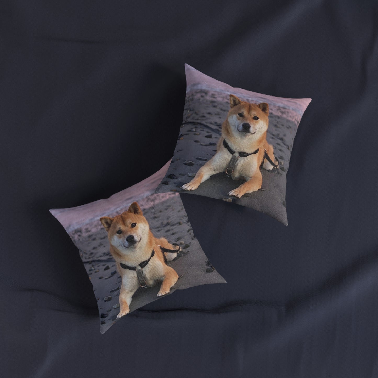 Shiba Inu Dog