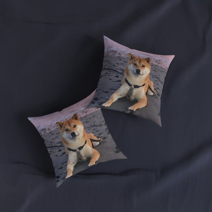 Shiba Inu Dog