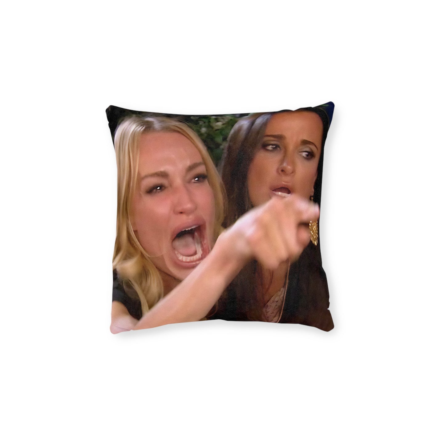 Lady Pointing At Cat Meme