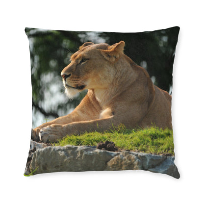 Lion Female