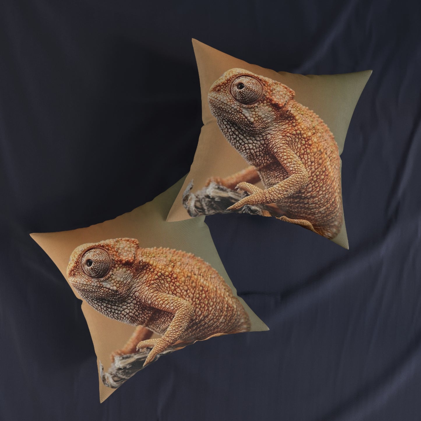 Chameleon 2