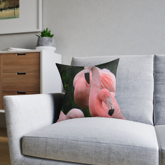 Flamingos
