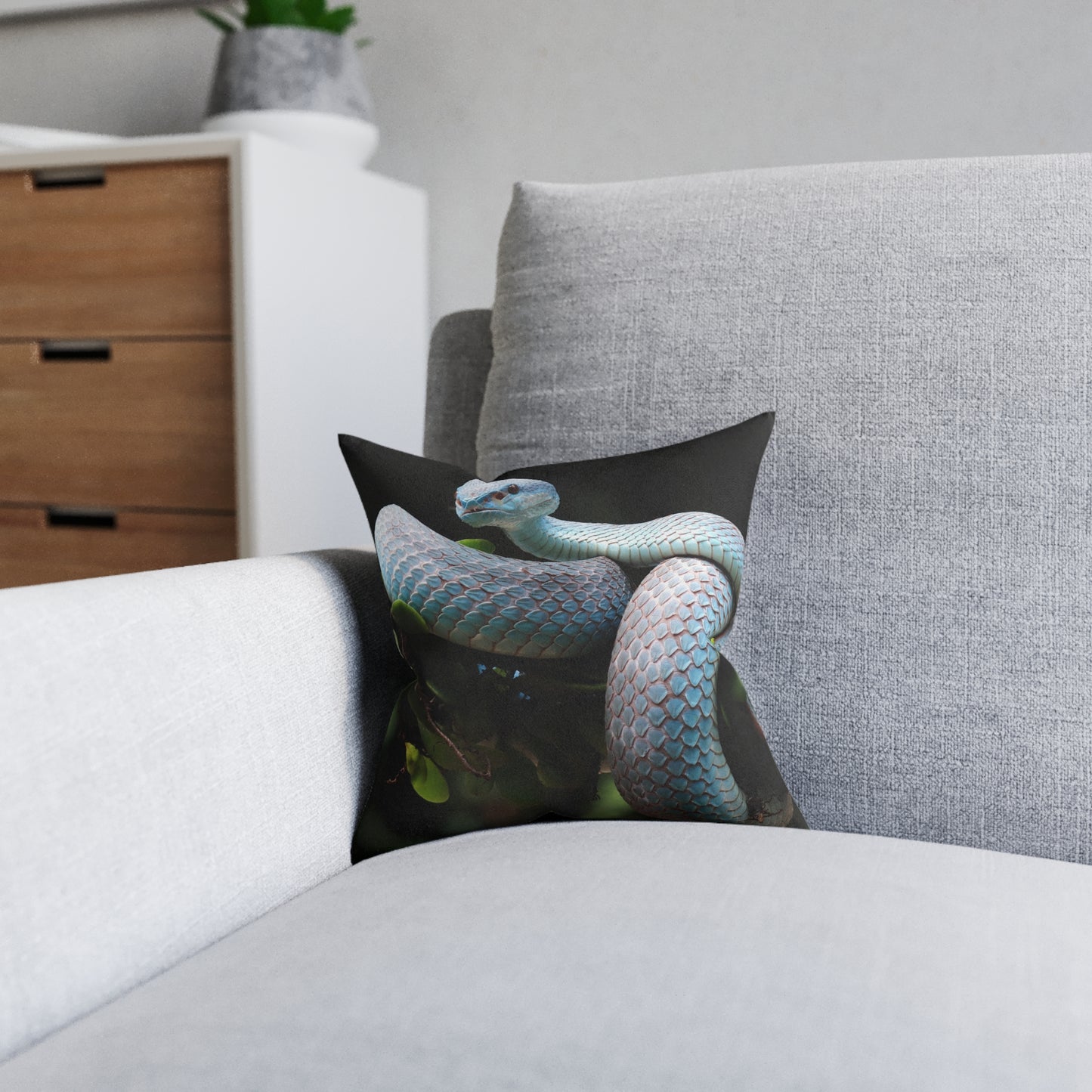 Ball Python Snake
