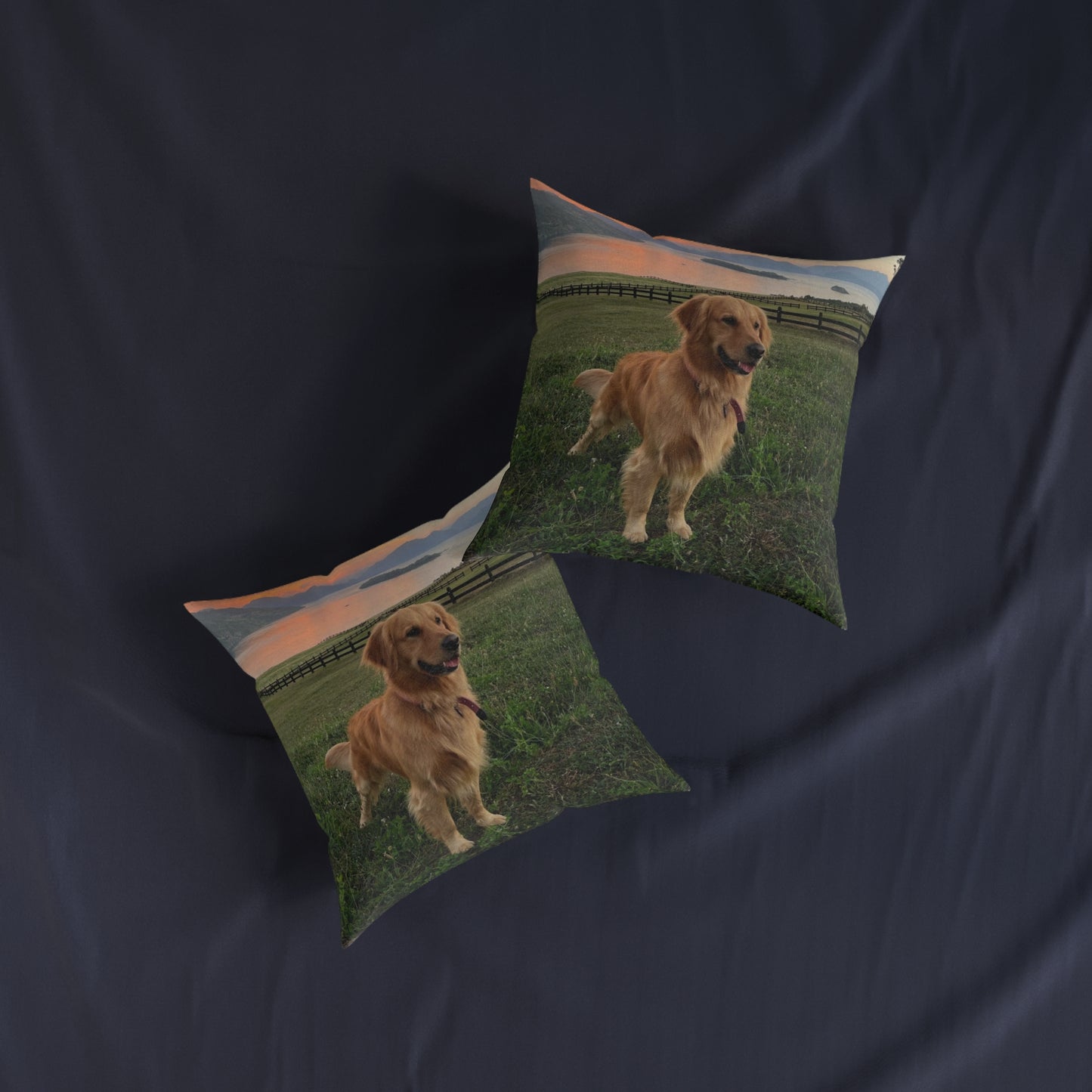 Golden Retriever Dog