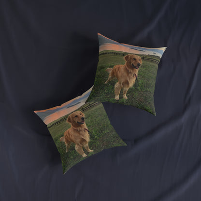 Golden Retriever Dog