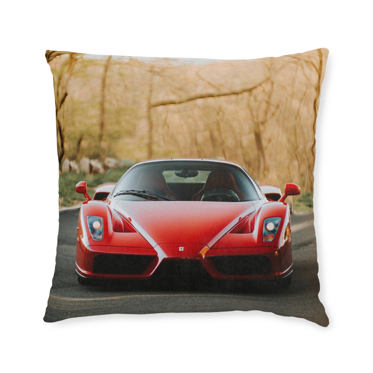 Ferrari Enzo