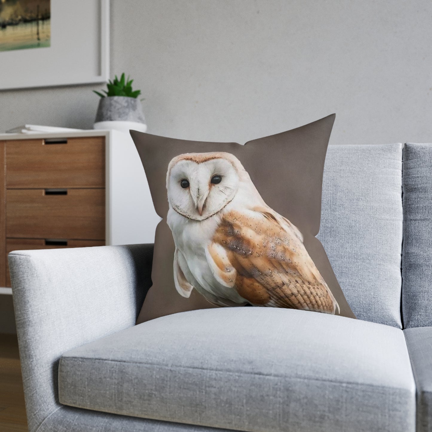 Barn Owl