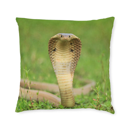Cobra Snake