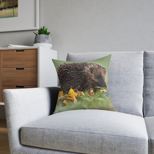 Hedgehog 2