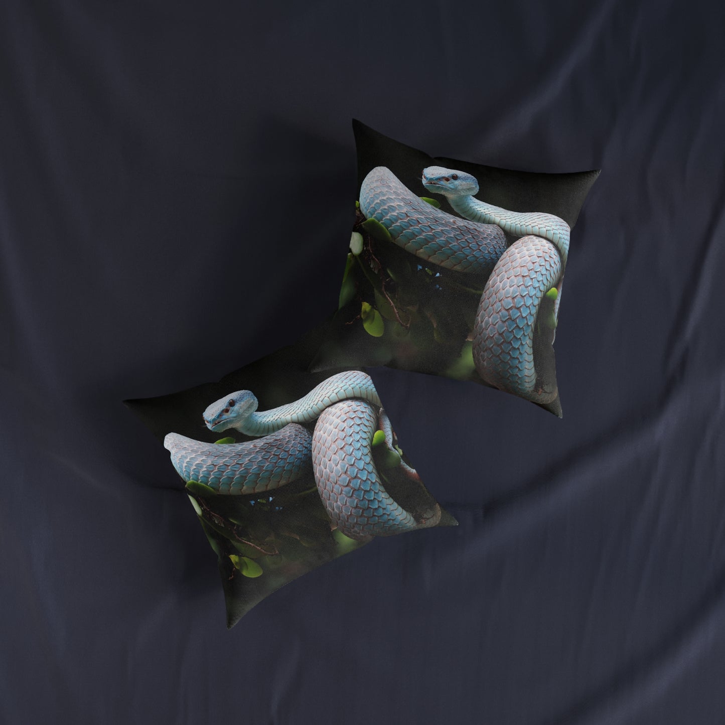 Ball Python Snake