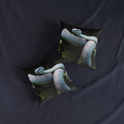 Ball Python Snake