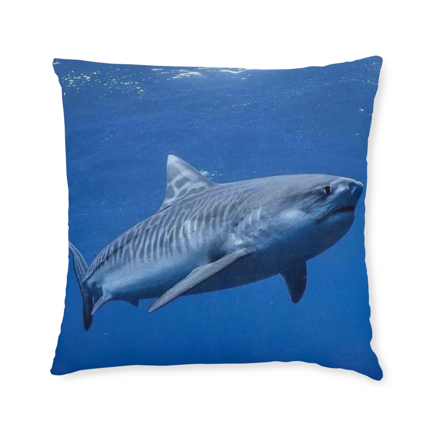 Tiger Shark