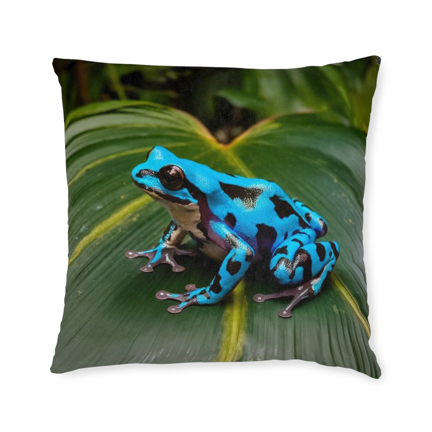 Poison Dart Frog Blue