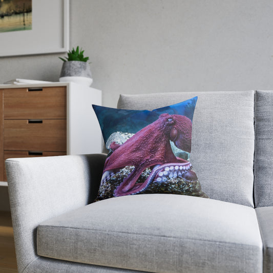Octopus