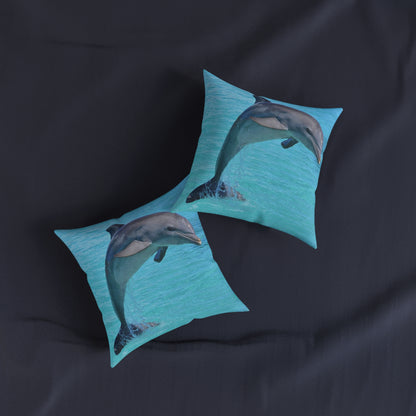 Dolphin