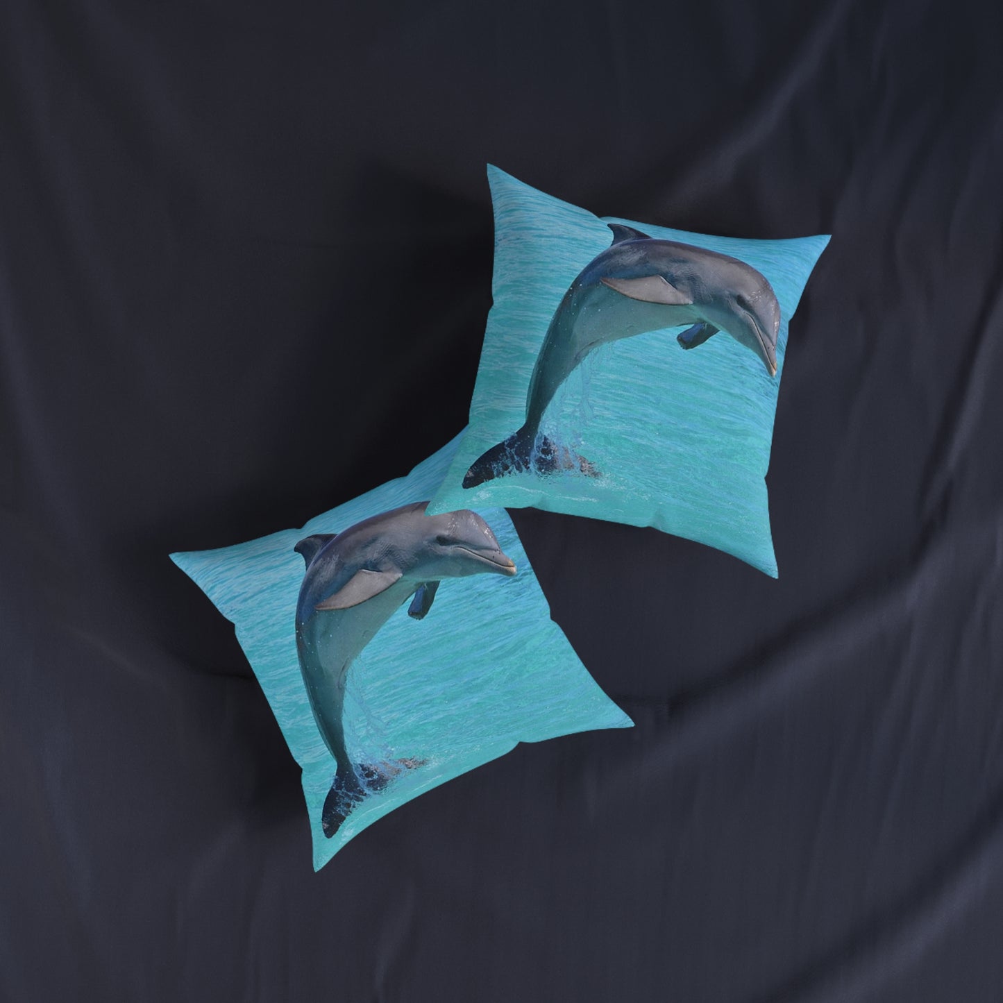 Dolphin