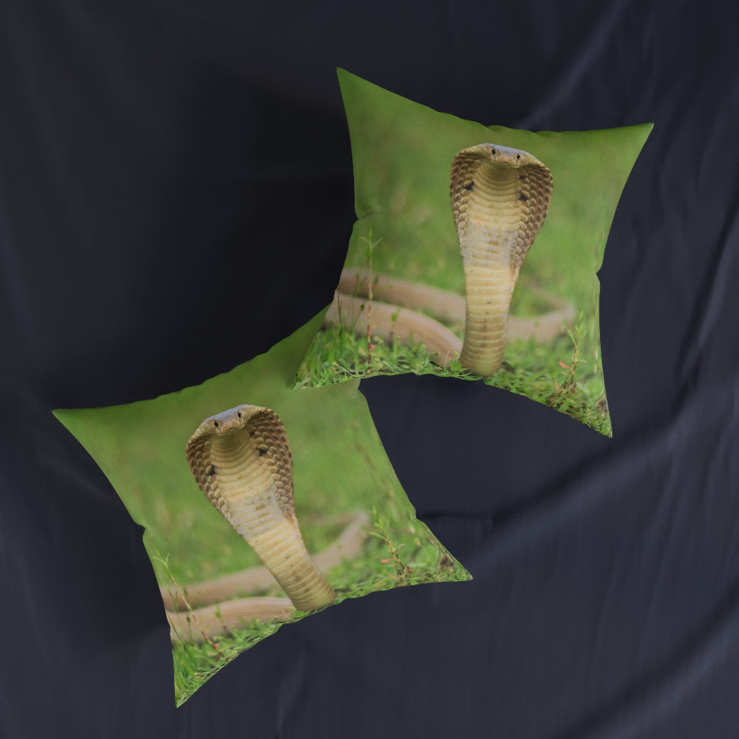 Cobra Snake
