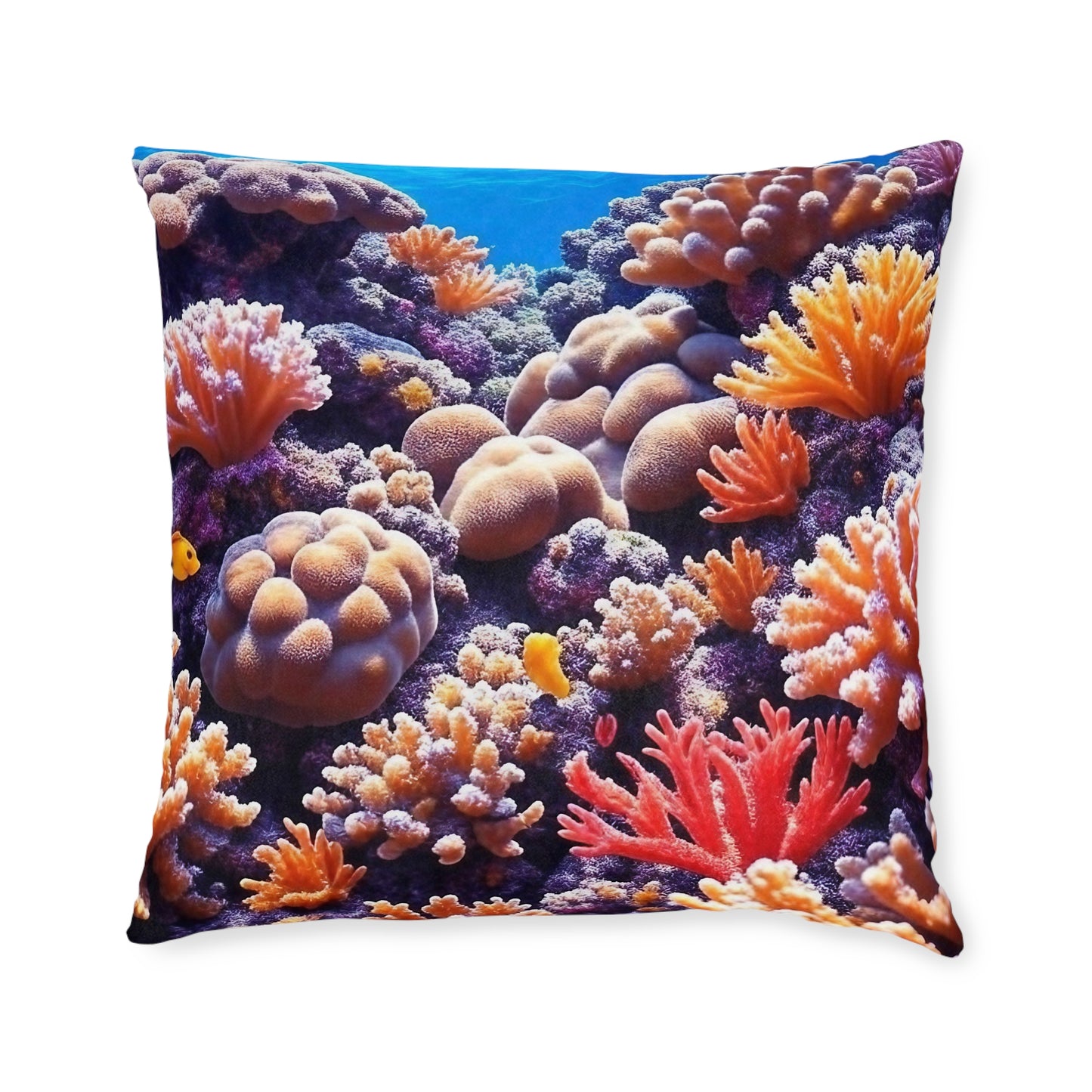 Coral Reef