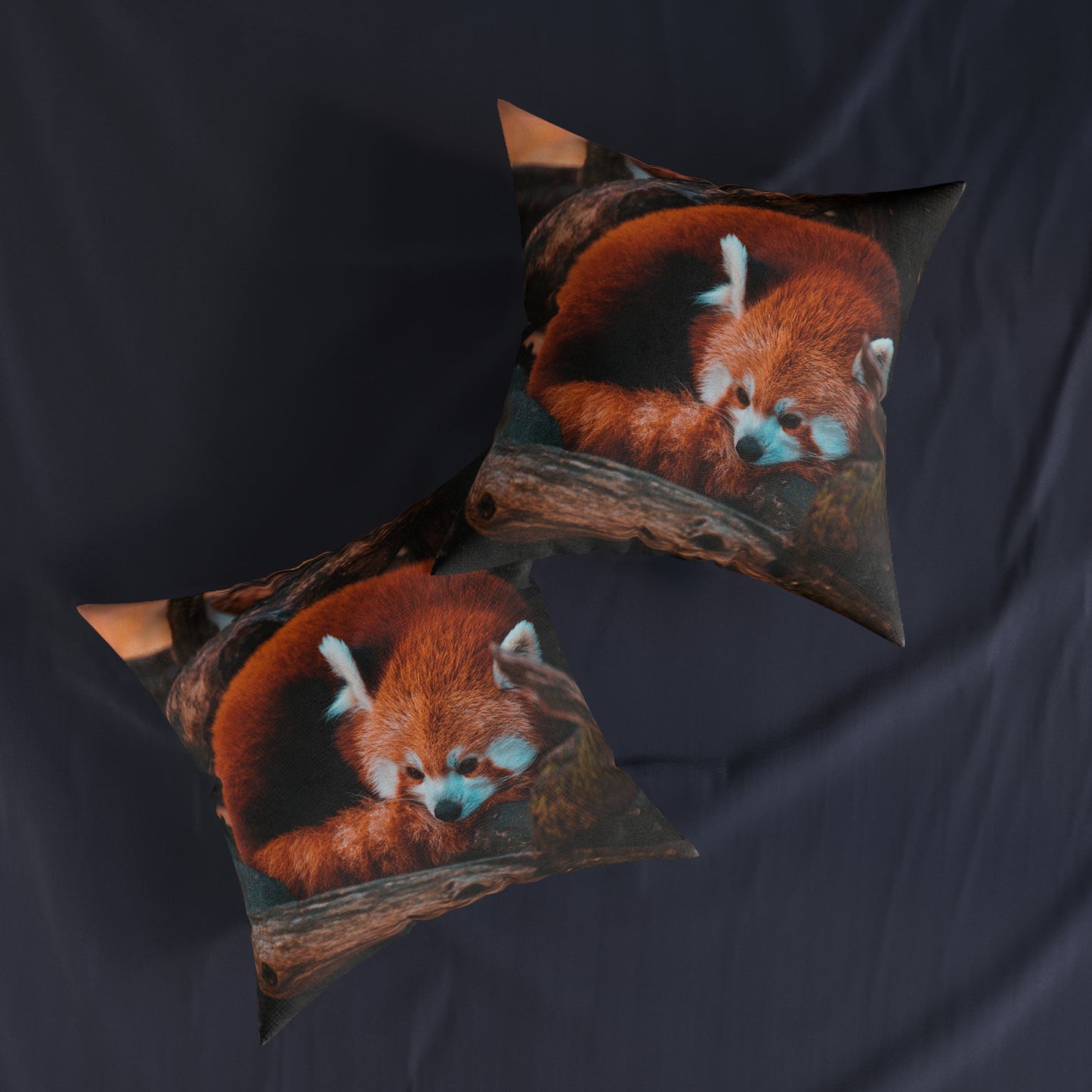 Red Panda