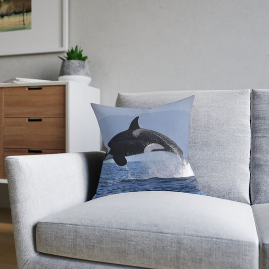 Orca 2