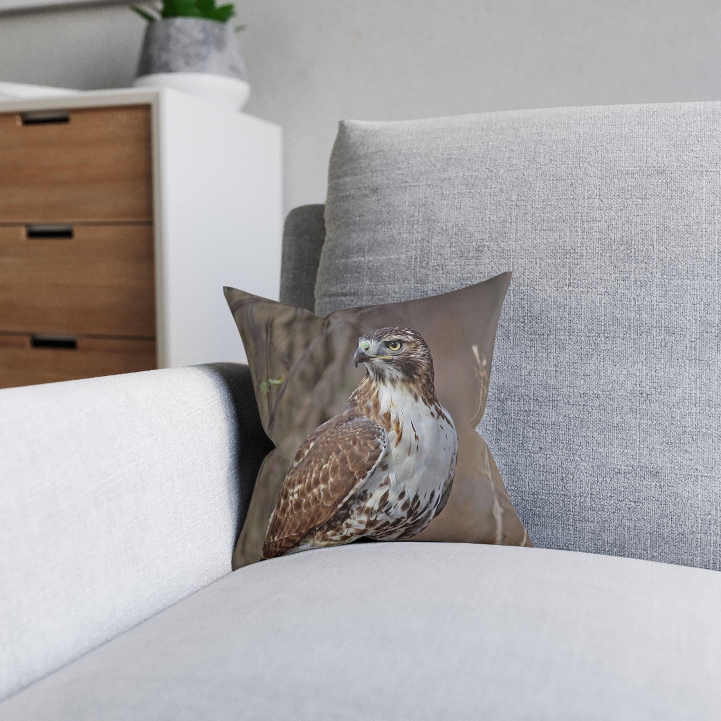 Hawk 2