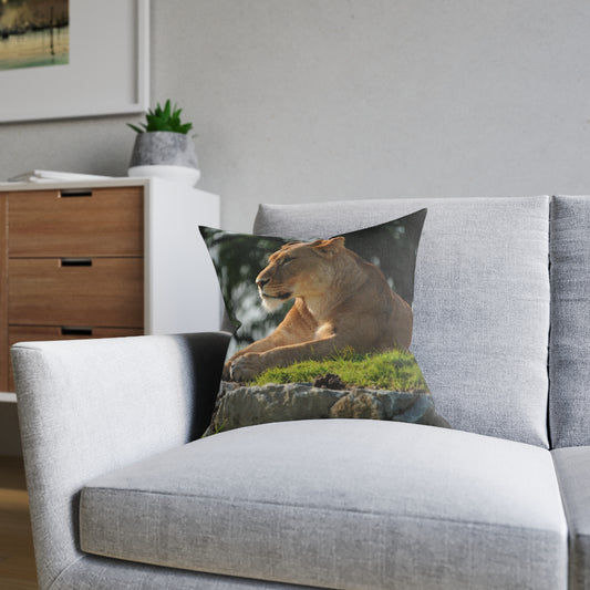 Lion Female