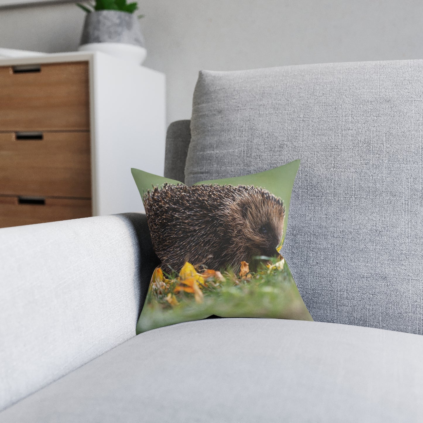 Hedgehog 2