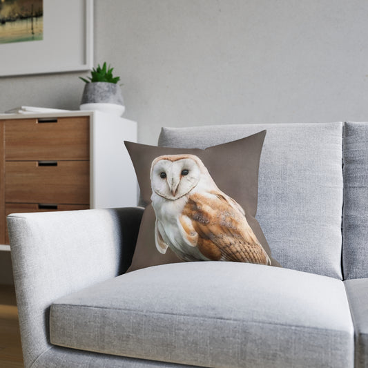 Barn Owl