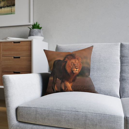 Lion Male