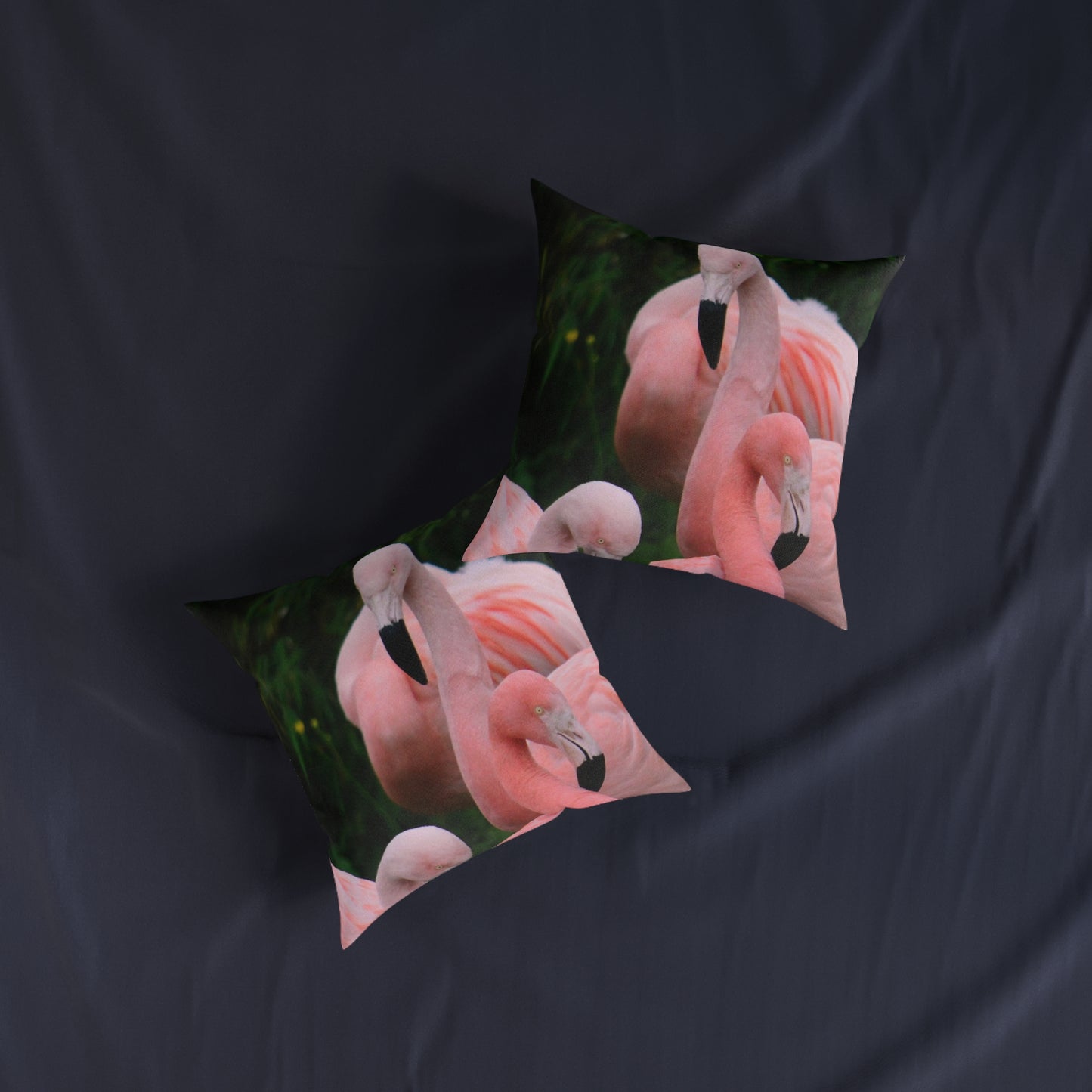 Flamingos