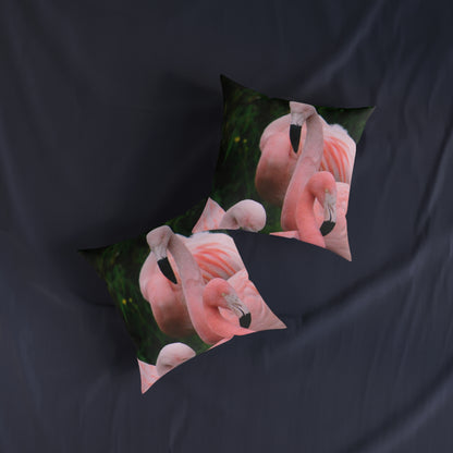 Flamingos