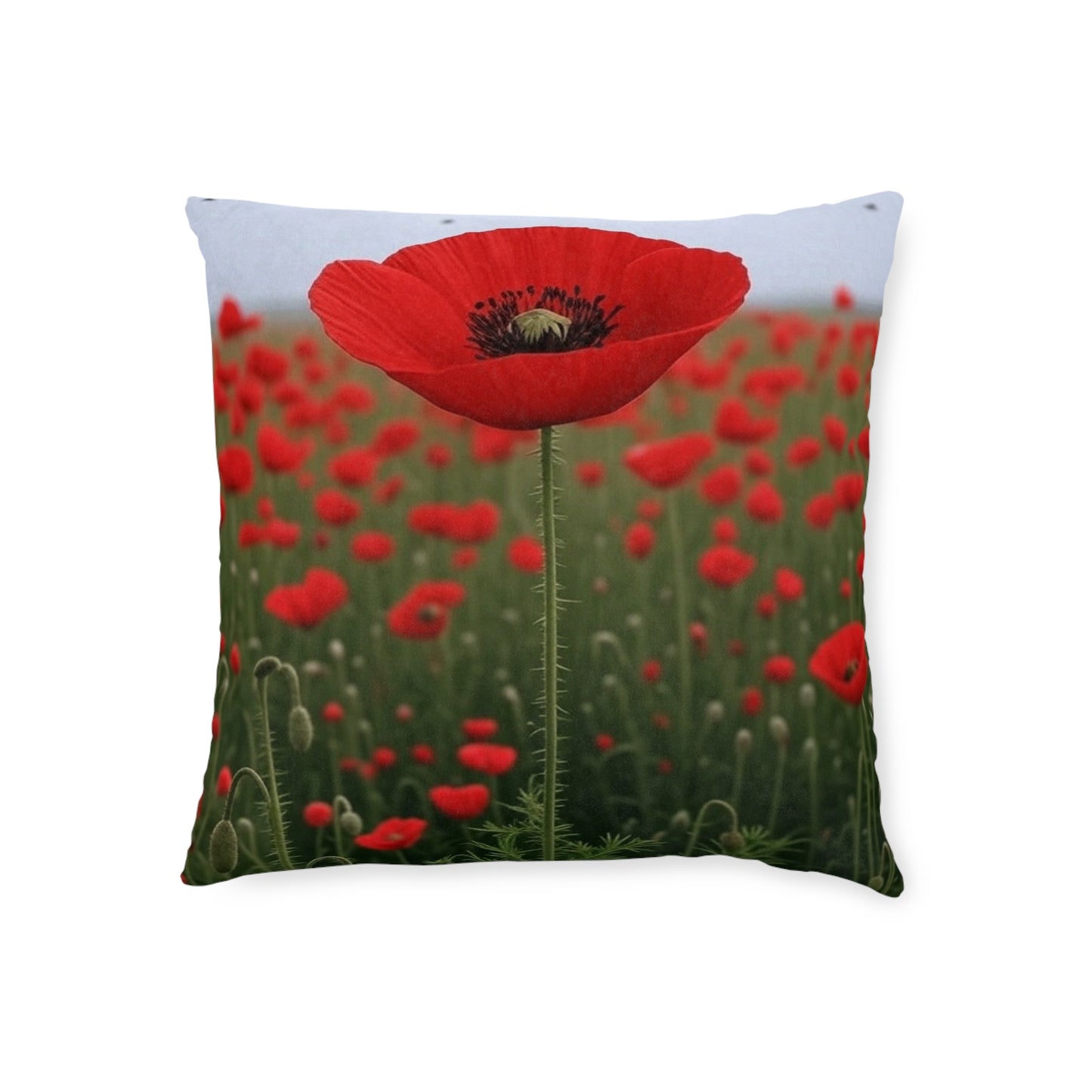 Remembrance Day