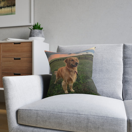 Golden Retriever Dog
