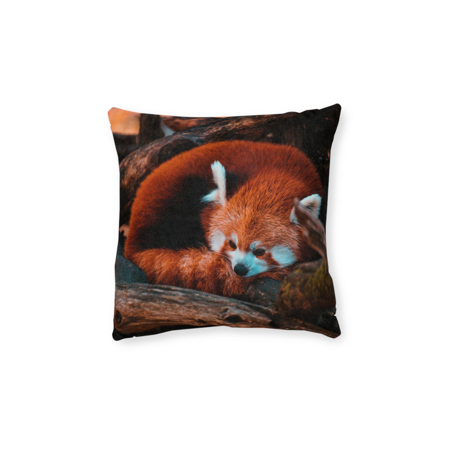 Red Panda