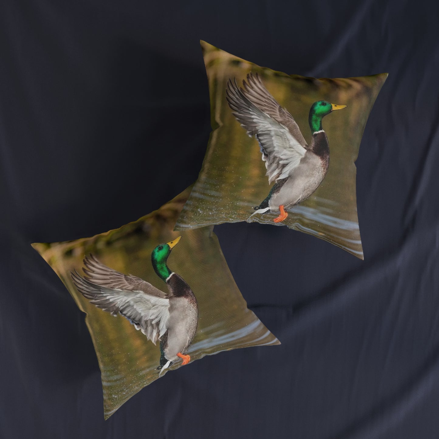 Duck