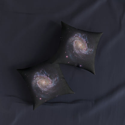 Virgo Supercluster