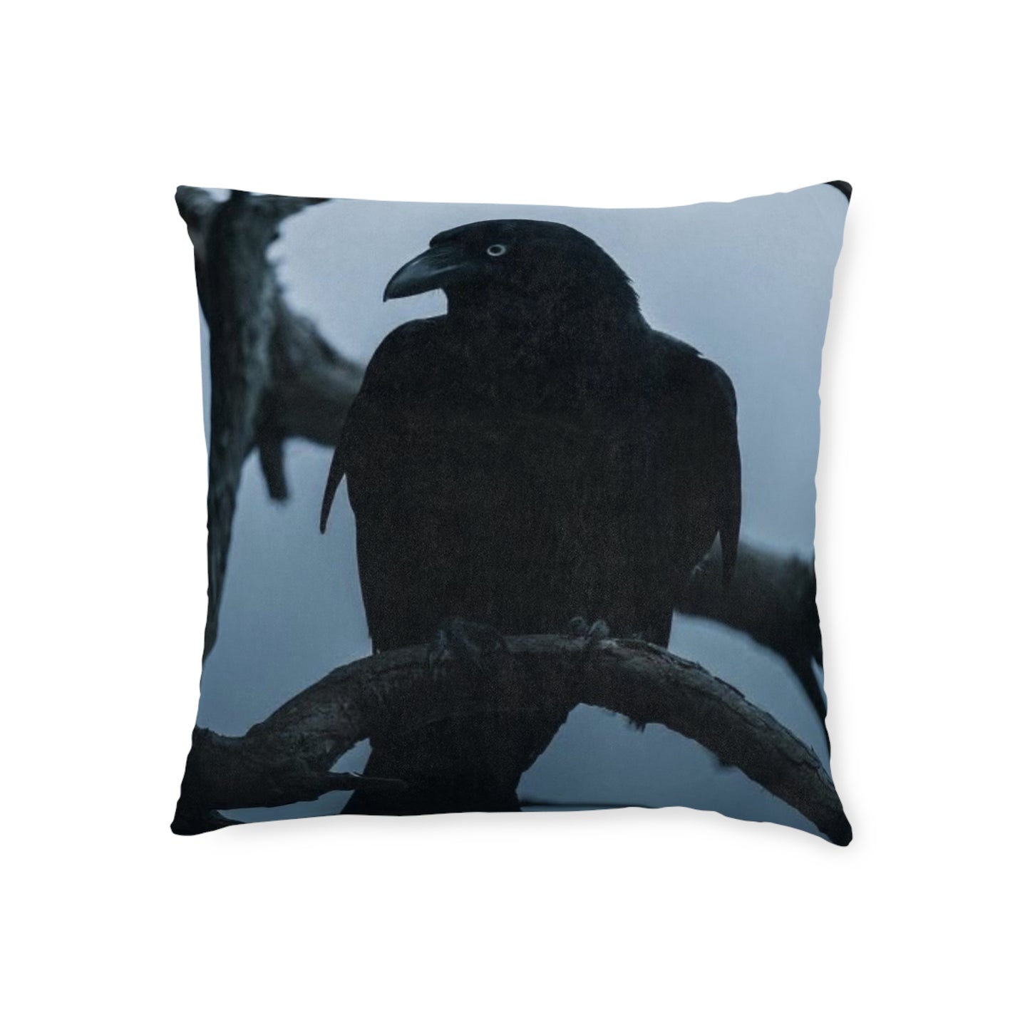 Raven 2
