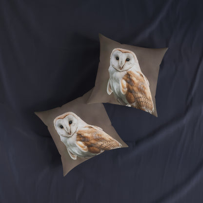 Barn Owl