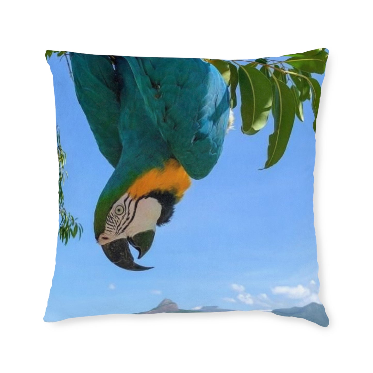 Parrot Blue