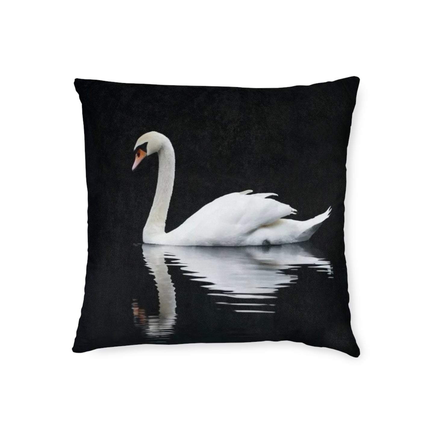Swan