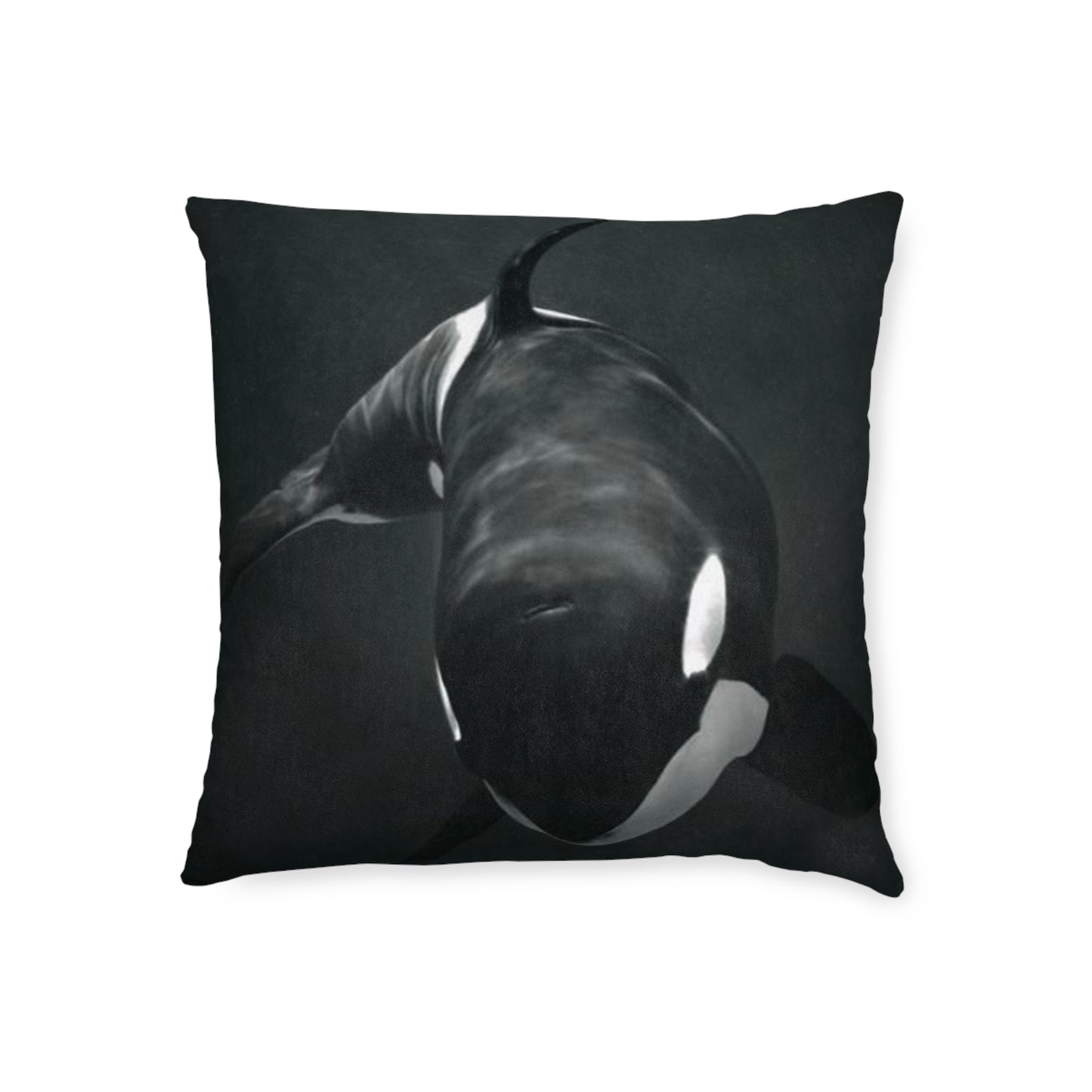 Orca