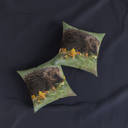 Hedgehog 2