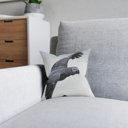 Parrot African Grey