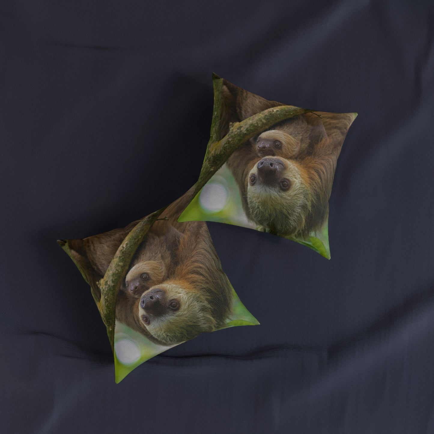 Sloth
