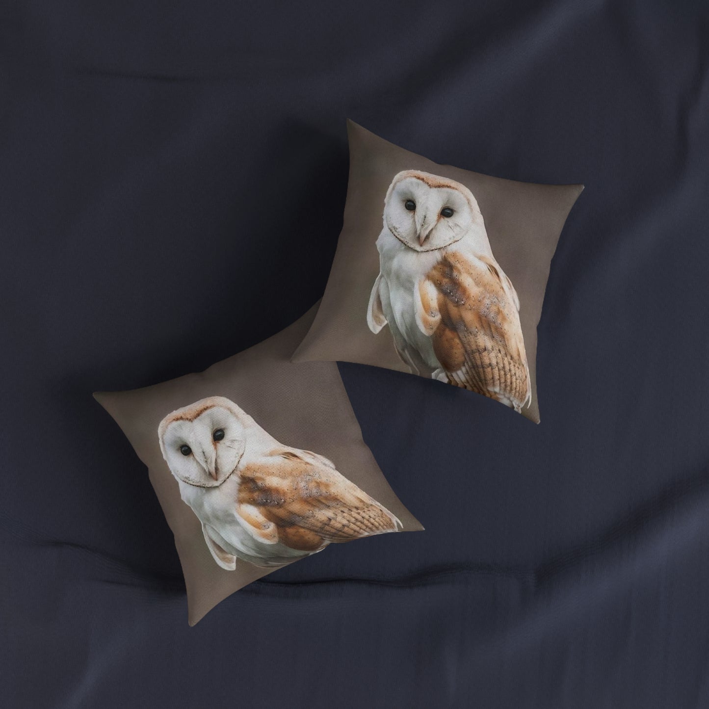 Barn Owl