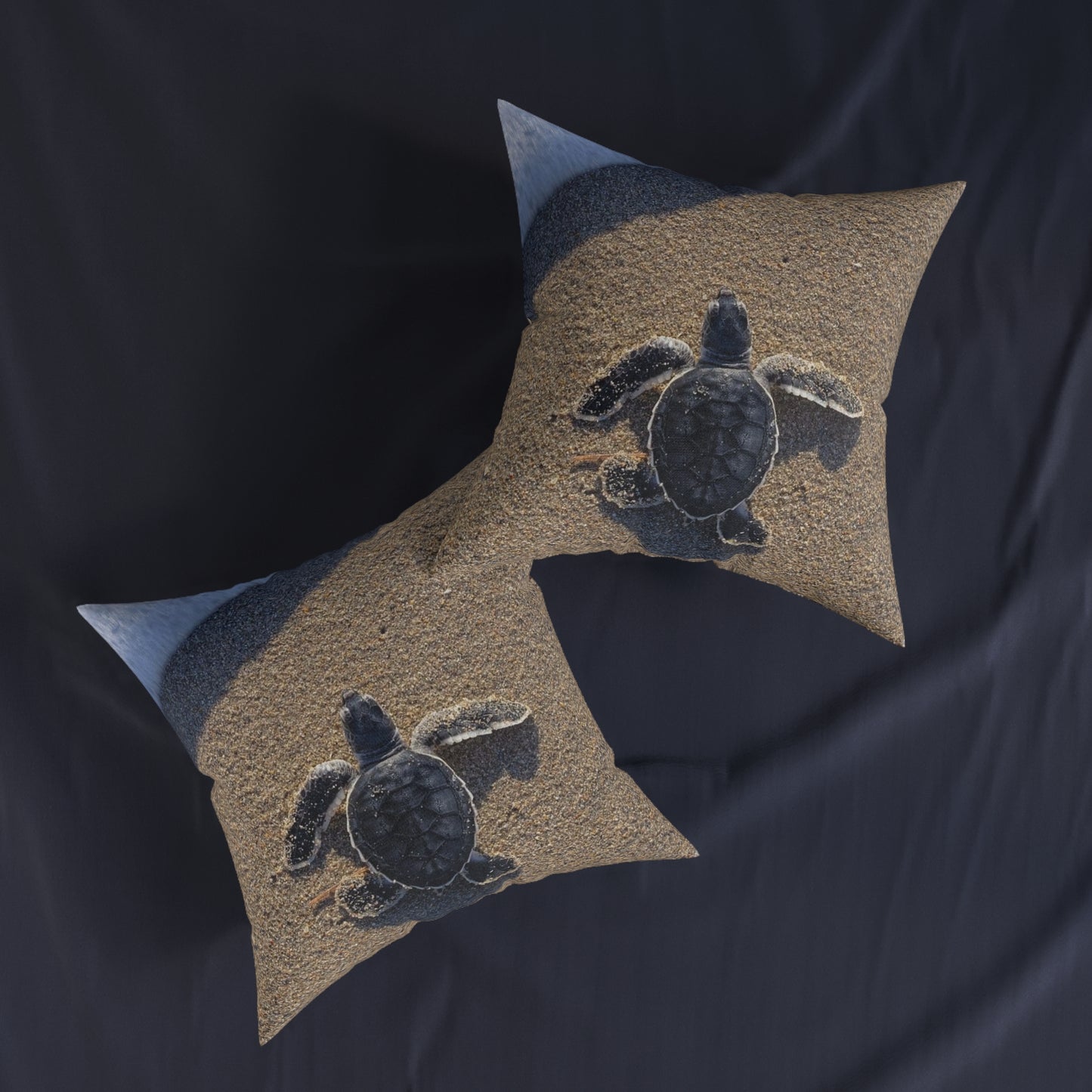 Baby Sea Turtle
